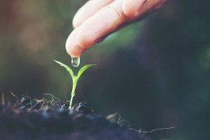Empresa sostenible el boom del mercado