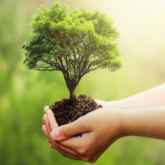 emppresa de impacto ambiental
